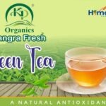 “Kangra Green Tea Bags - Rich in Antioxidants and Flavor”