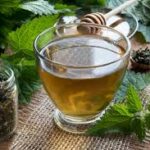 “Refreshing Kangra Fresh Nettle Leaf Tea with a sprig of fresh nettle”